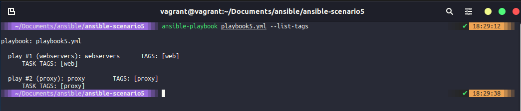 Ansible Tags, Variables, Inventory & Database Server